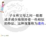 小学六年级下册科学-2.2生物的遗传现象-苏教版(18张)ppt课件