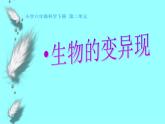 小学六年级下册科学-2.2生物的变异现象-苏教版(29张)ppt课件