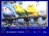小学六年级下册科学-2.3寻找遗传与变异的秘密-苏教版(23张)ppt课件