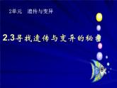 小学六年级下册科学-2.3寻找遗传与变异的秘密-苏教版(23张)ppt课件