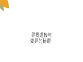 小学六年级下册科学-2.3寻找遗传与变异的秘密-苏教版(14张)ppt课件