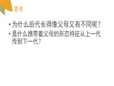 小学六年级下册科学-2.3寻找遗传与变异的秘密-苏教版(14张)ppt课件