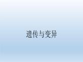 小学六年级下册科学-2.3寻找遗传与变异的秘密-苏教版-(16张)ppt课件