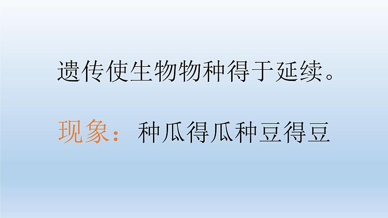 小学六年级下册科学-2.3寻找遗传与变异的秘密-苏教版-(16张)ppt课件第5页