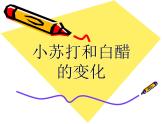 小學(xué)六年級(jí)下冊(cè)科學(xué)-2.4小蘇打和白醋的變化-教科版(11張)(6)ppt課件