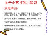 小學(xué)六年級(jí)下冊(cè)科學(xué)-2.4小蘇打和白醋的變化-教科版(11張)(6)ppt課件