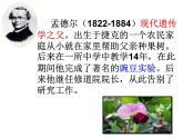 小学六年级下册科学-2.3寻找遗传与变异的秘密-苏教版(20张)ppt课件