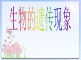小学六年级下册科学-2.2生物的遗传现象-苏教版(28张)ppt课件