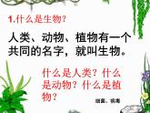 小学六年级下册科学-2.2生物的遗传现象-苏教版(28张)ppt课件