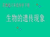 小学六年级下册科学-2.2生物的遗传现象-苏教版(38张)ppt课件