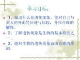 小学六年级下册科学-2.2生物的遗传现象-苏教版(30张)ppt课件