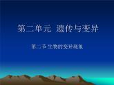 小学六年级下册科学-2.2生物的变异现象-苏教版(24张)ppt课件