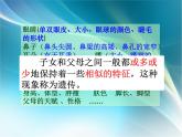小学六年级下册科学-2.2生物的遗传现象-苏教版(13张)ppt课件