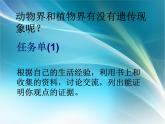 小学六年级下册科学-2.2生物的遗传现象-苏教版(13张)ppt课件