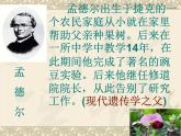 小学六年级下册科学-2.3寻找遗传与变异的秘密-苏教版-(12张)ppt课件