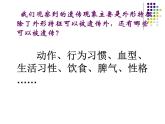 小学六年级下册科学-2.3寻找遗传与变异的秘密-苏教版-(19张)ppt课件