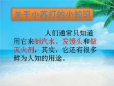 小學(xué)六年級(jí)下冊(cè)科學(xué)-2.4小蘇打和白醋的變化-教科版(24張)(1)ppt課件