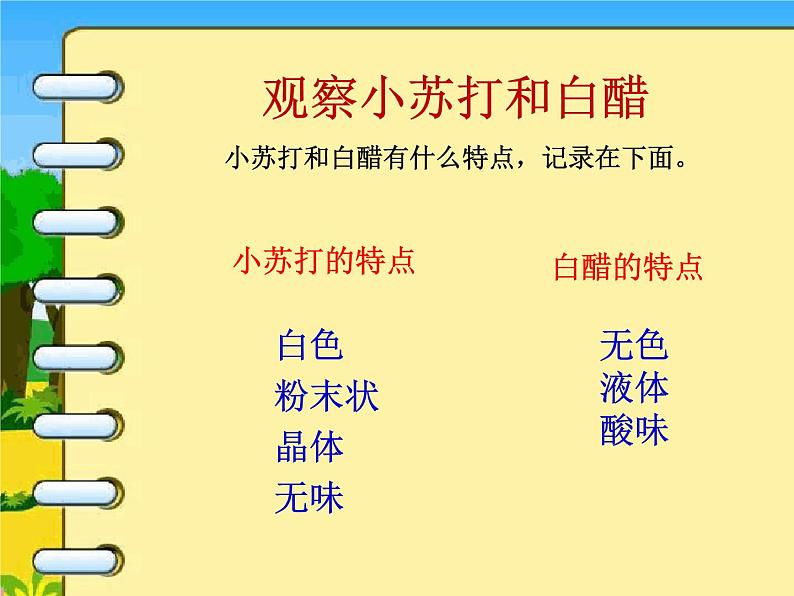 小学六年级下册科学-2.4小苏打和白醋的变化-教科版(17张)(1)ppt课件第5页