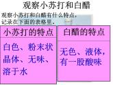 小学六年级下册科学-2.4小苏打和白醋的变化-教科版(26张)ppt课件