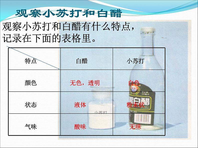 小学六年级下册科学-2.4小苏打和白醋的变化-教科版(19张)ppt课件06