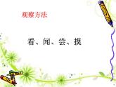 小学六年级下册科学-2.4小苏打和白醋的变化-教科版(19张)ppt课件