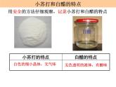 小学六年级下册科学-2.4小苏打和白醋的变化-教科版(22张)ppt课件
