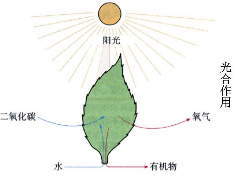 小学六年级下册科学-2.4小苏打和白醋的变化-教科版(13张)(1)ppt课件第6页