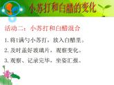 小学六年级下册科学-2.4小苏打和白醋的变化-教科版(13张)ppt课件