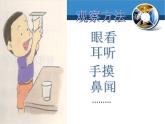 小学六年级下册科学-2.4小苏打和白醋的变化-教科版(22张)ppt课件