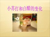 小学六年级下册科学-2.4小苏打和白醋的变化-教科版(14张)(2)ppt课件