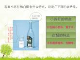 小学六年级下册科学-2.4小苏打和白醋的变化-教科版(18张)(1)ppt课件