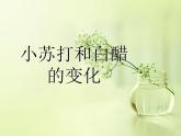 小学六年级下册科学-2.4小苏打和白醋的变化-教科版(26张)(1)(1)ppt课件