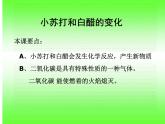 小学六年级下册科学-2.4小苏打和白醋的变化-教科版(14张)(1)(1)ppt课件