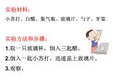 小学六年级下册科学-2.4小苏打和白醋的变化-教科版(14张)(1)ppt课件