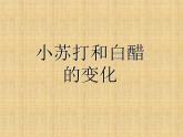 小学六年级下册科学-2.4小苏打和白醋的变化-教科版(12张)(2)ppt课件