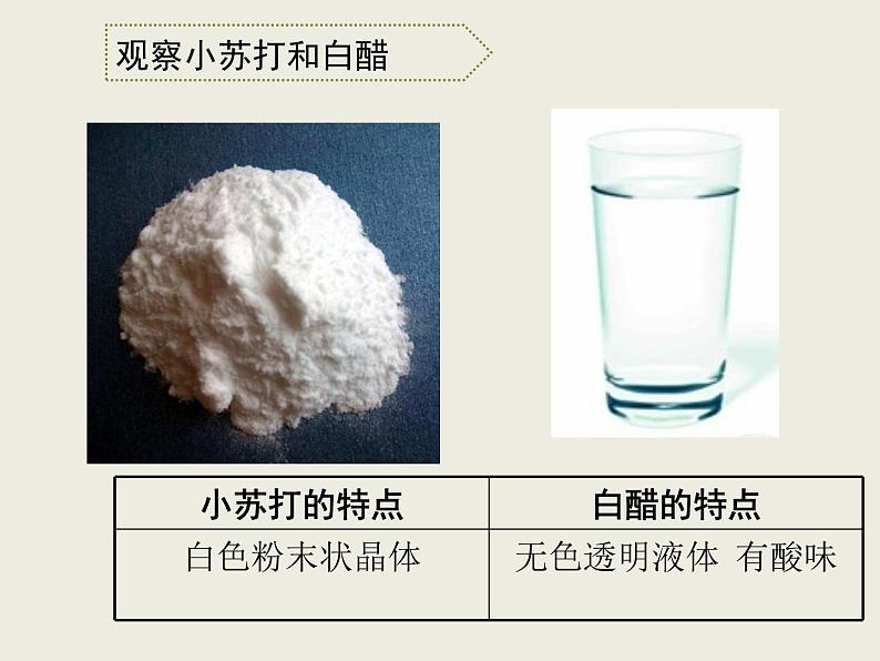 小学六年级下册科学-2.4小苏打和白醋的变化-教科版(14张)ppt课件04