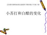 小学六年级下册科学-2.4小苏打和白醋的变化-教科版(17张)ppt课件
