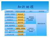 小学六年级下册科学-2.4小苏打和白醋的变化-教科版(28张)ppt课件