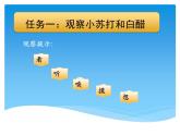 小学六年级下册科学-2.4小苏打和白醋的变化-教科版(28张)ppt课件