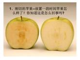 小学六年级下册科学-2.4小苏打和白醋的变化-教科版(34张)ppt课件