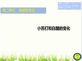 小学六年级下册科学-2.4小苏打和白醋的变化-教科版(29张)ppt课件