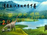 小学六年级下册科学-3.2化石告诉我们什么-苏教版(11张)(1)ppt课件
