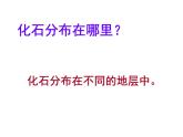 小学六年级下册科学-3.2化石告诉我们什么-苏教版(11张)(1)ppt课件