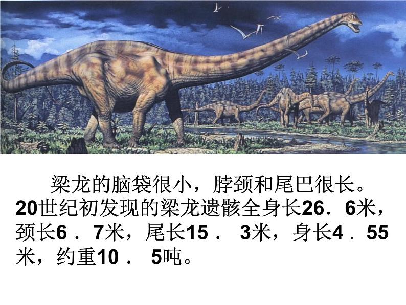 小学六年级下册科学-3.1消失了的恐龙-苏教版(56张)ppt课件第6页