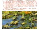小学六年级下册科学-3.1-消失了的恐龙-苏教版-(16张)ppt课件
