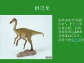 小学六年级下册科学-3.1-消失了的恐龙-苏教版-(36张)ppt课件