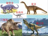 小学六年级下册科学-3.1消失了的恐龙-苏教版(7张)ppt课件