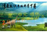 小学六年级下册科学-3.2化石告诉我们什么-苏教版(8张)ppt课件