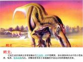 小学六年级下册科学-3.1-消失了的恐龙-苏教版-(19张)-(1)ppt课件