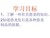 小学六年级下册科学-3.1-消失了的恐龙-苏教版-(26张)-(1)ppt课件